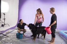 Filmstudio Mietstudio Werbefilm behind the scenes sennenhund